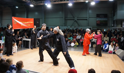 20131201索非亚孔子学院为国际慈善义卖会组织舞狮与武术表演图2