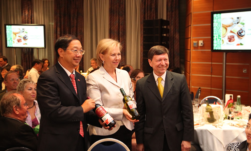 20110607维也纳大学孔子学院5周年庆典图片2