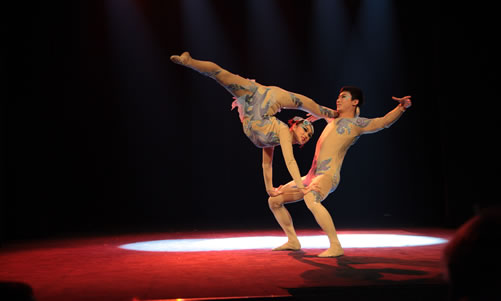 20120202克拉科夫孔子学院举办传统杂技民乐表演图1