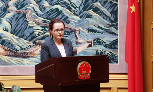 6月10日中国驻捷克大使馆为“百名捷克学生汉语桥夏令营”举行欢送会图2